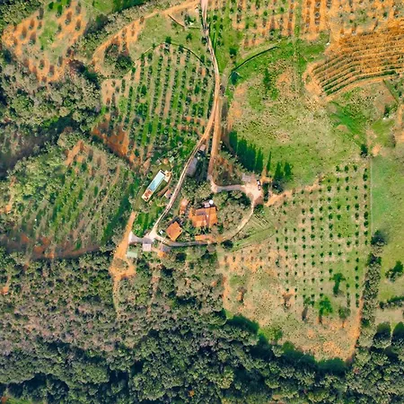 Torricelle: Tuscan Retreat With Infinity Pool And Sea View Pancole