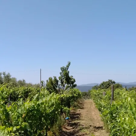 Podere Torricelle 69b Gr, Seaview Infinity Pool, Jacuzzi, Sauna, Exclusive With 2 Bedrooms For 4 - If Total 5 Or 6 People There Is An Independent In Main With Private Ensuite Bathroom, Kitchenette And Garden Dining Area
