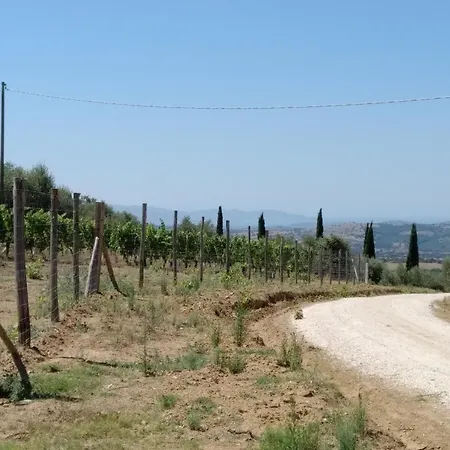 Podere Torricelle 69b Gr, Seaview Infinity Pool, Jacuzzi, Sauna, Exclusive With 2 Bedrooms For 4 - If Total 5 Or 6 People There Is An Independent In Main With Private Ensuite Bathroom, Kitchenette And Garden Dining Area Villa Pancole