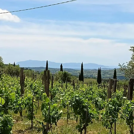Torricelle: Tuscan Retreat With Infinity Pool And Sea View