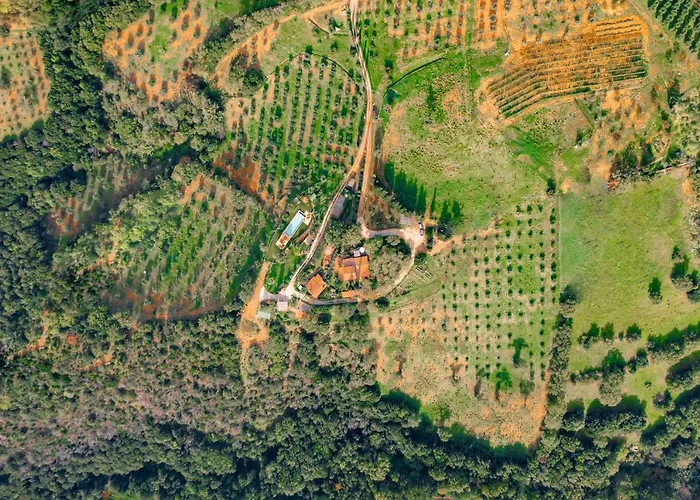 Podere Torricelle 69b Gr, Seaview Infinity Pool, Jacuzzi, Sauna, Exclusive With 2 Bedrooms For 4 - If Total 5 Or 6 People There Is An Independent In Main With Private Ensuite Bathroom, Kitchenette And Garden Dining Area Pancole