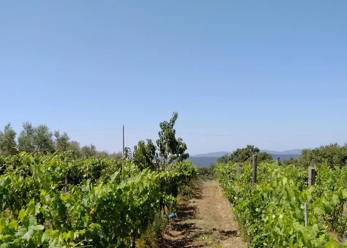 Podere Torricelle 69b Gr, Seaview Infinity Pool, Jacuzzi, Sauna, Exclusive With 2 Bedrooms For 4 - If Total 5 Or 6 People There Is An Independent In Main With Private Ensuite Bathroom, Kitchenette And Garden Dining Area