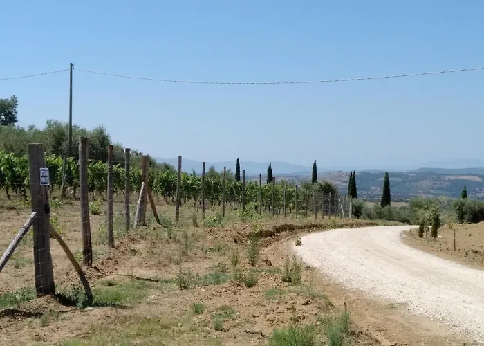 Podere Torricelle 69b Gr, Seaview Infinity Pool, Jacuzzi, Sauna, Exclusive With 2 Bedrooms For 4 - If Total 5 Or 6 People There Is An Independent In Main With Private Ensuite Bathroom, Kitchenette And Garden Dining Area Villa Pancole