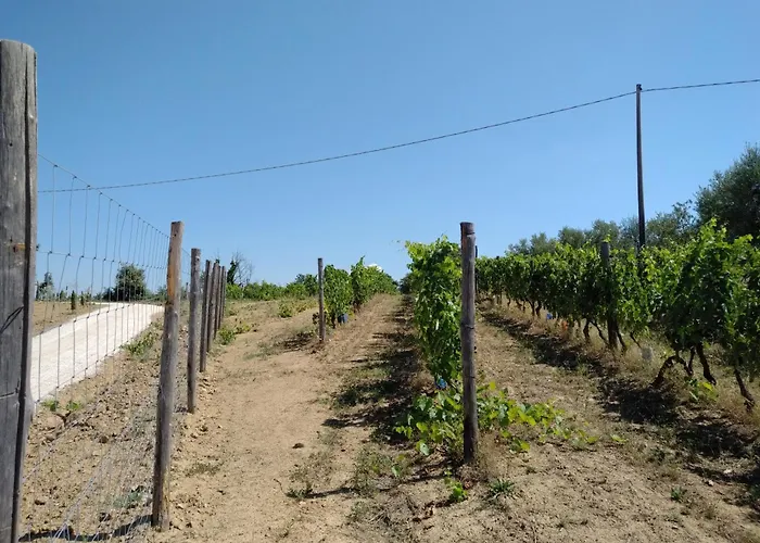 Podere Torricelle 69b Gr, Seaview Infinity Pool, Jacuzzi, Sauna, Exclusive With 2 Bedrooms For 4 - If Total 5 Or 6 People There Is An Independent In Main With Private Ensuite Bathroom, Kitchenette And Garden Dining Area Villa Pancole