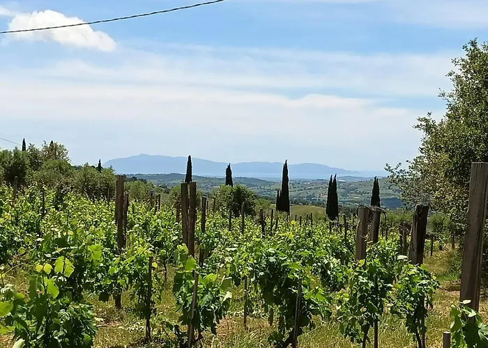 Podere Torricelle 69b Gr, Seaview Infinity Pool, Jacuzzi, Sauna, Exclusive With 2 Bedrooms For 4 - If Total 5 Or 6 People There Is An Independent In Main With Private Ensuite Bathroom, Kitchenette And Garden Dining Area